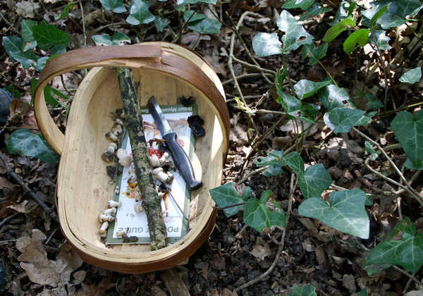Forage For a Feast - Wild Food Event