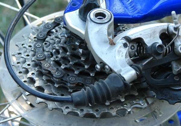 Bike Maintenance Workshop