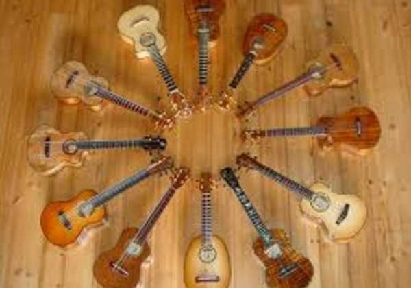 You Can Play The Ukulele